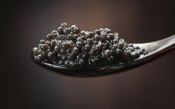 Uncovering the Nutritious and Health Benefits of Caviar: More Than Just a Luxurious Delicacy