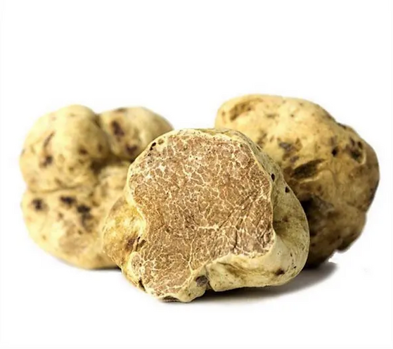 MINCED WHITE TRUFFLE PASTE